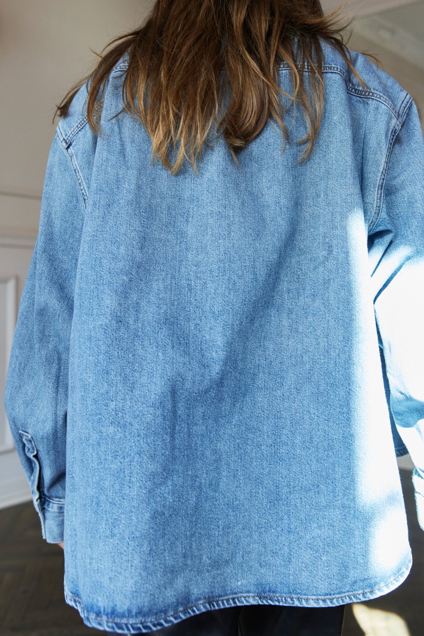 Agolde Aiden Denim Shirt