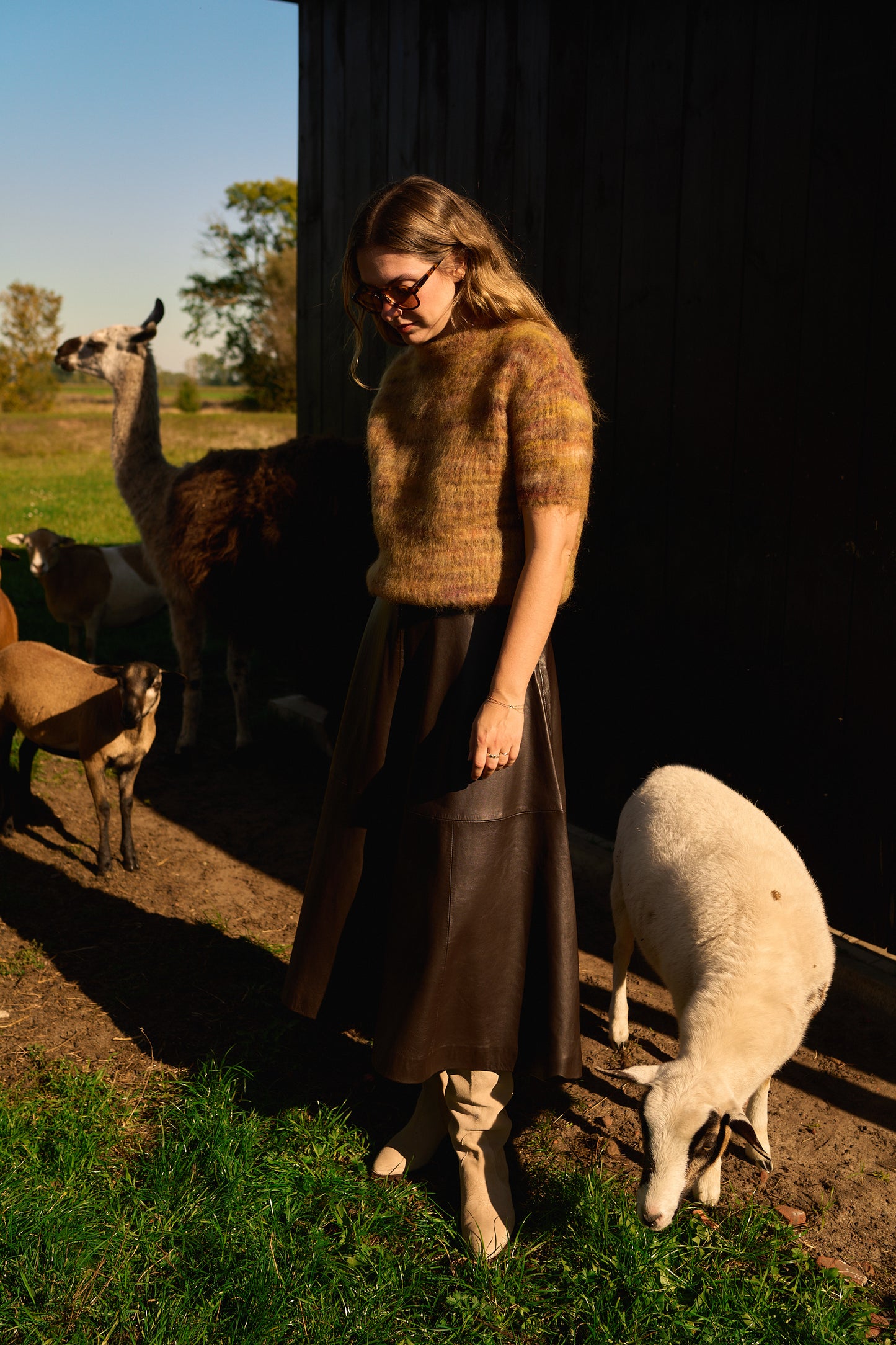 Brushed Knit Ocre