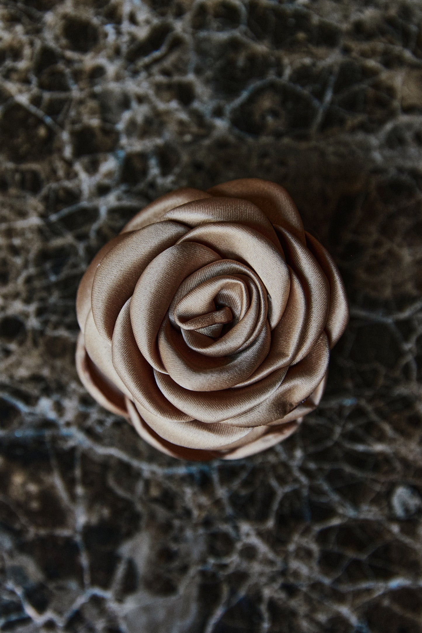 Small Rose Claw Latte
