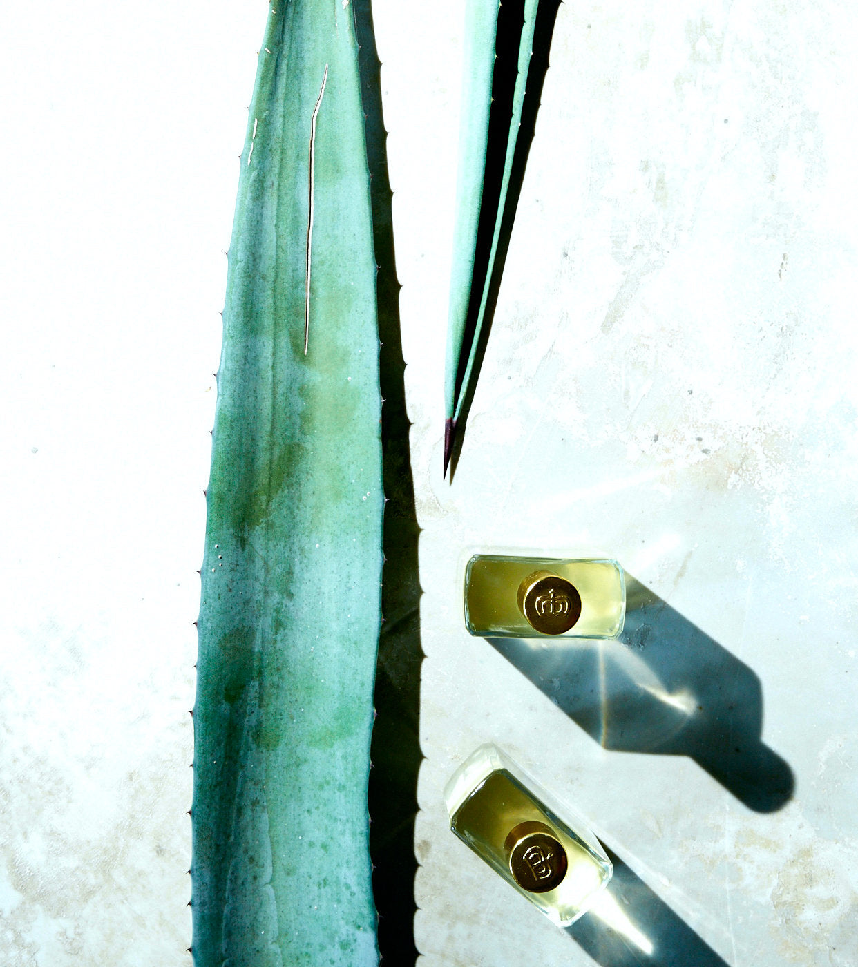 April-First-Coqui-Coqui-Agave-Parfum