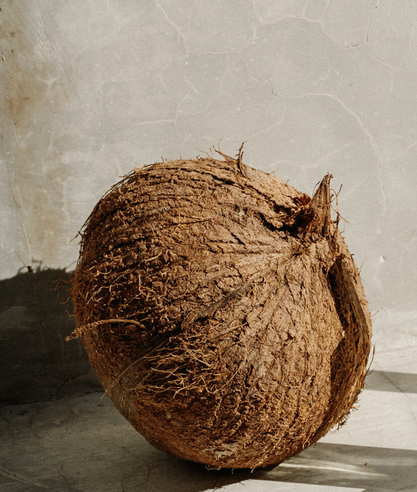 April-First-Coqui-Coqui-Coco-Coco-Parfum