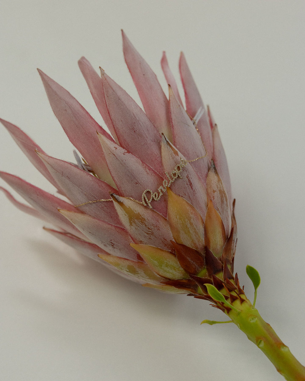 EXPLORE OUR IN-HOUSE APRIL FIRST JEWELRY COLLECTION