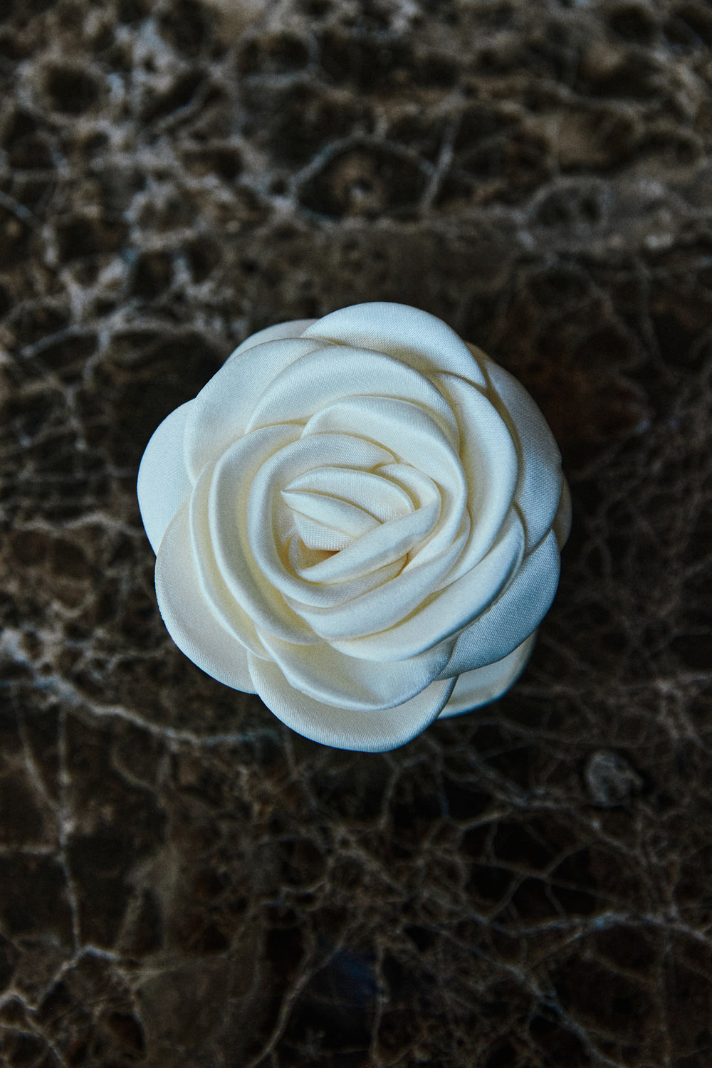 Small Rose Claw Ivory