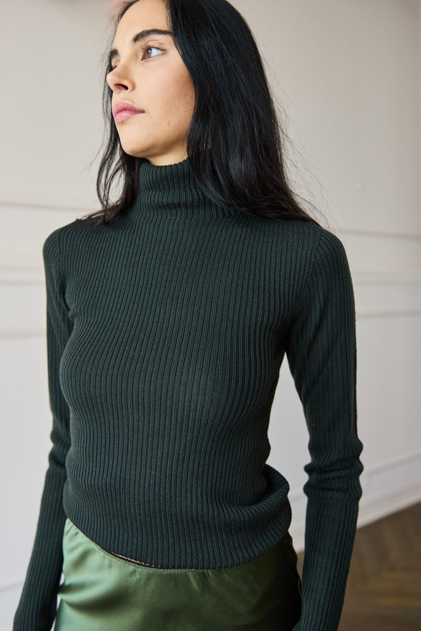 
                  
                    Turtleneck Moss
                  
                