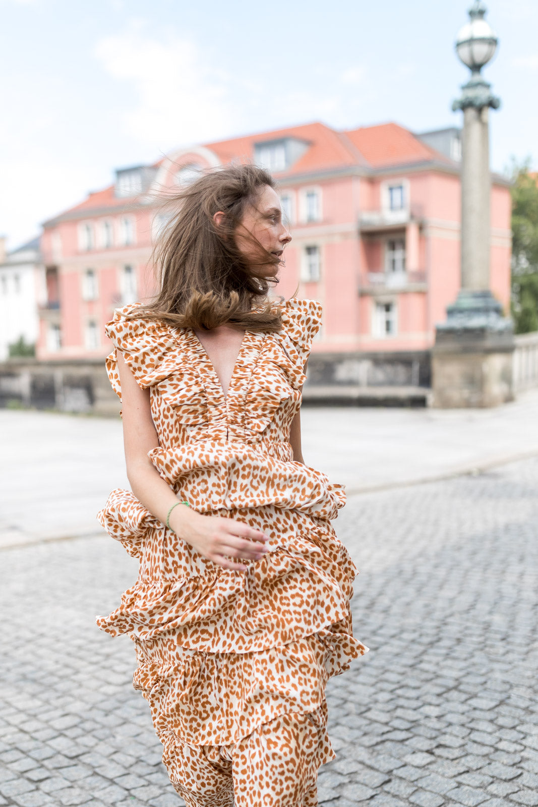 
                  
                    Viola Silk Dress Cheetah
                  
                