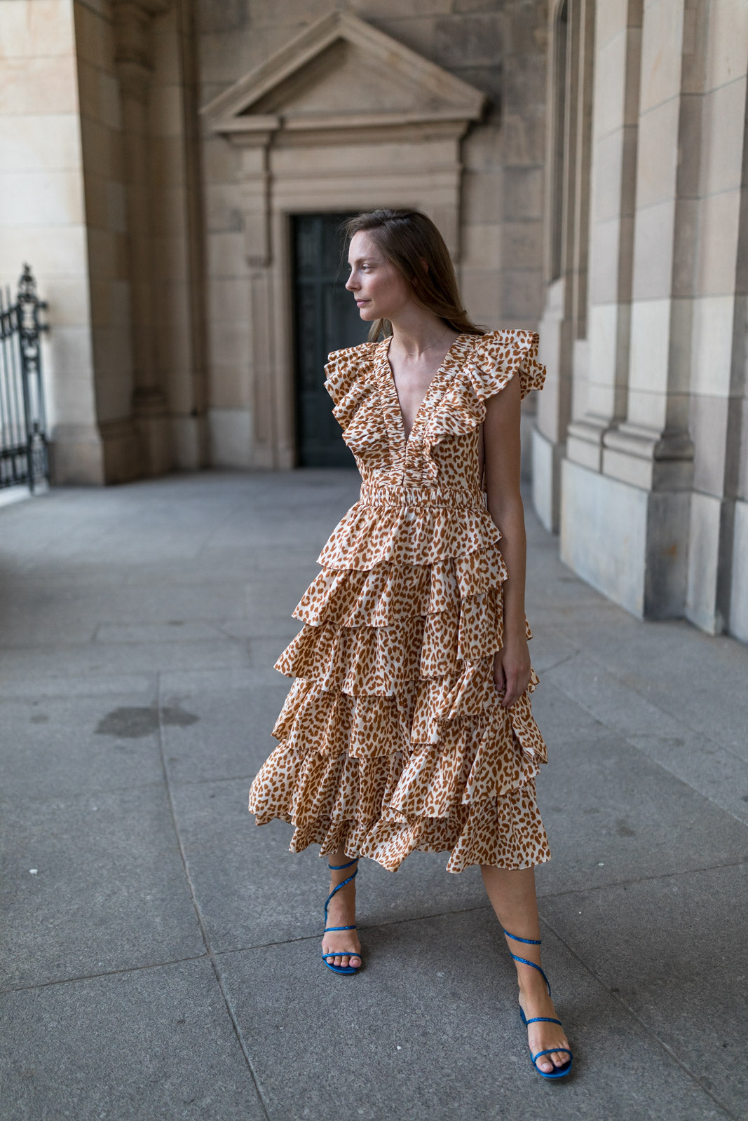 
                  
                    Viola Silk Dress Cheetah
                  
                