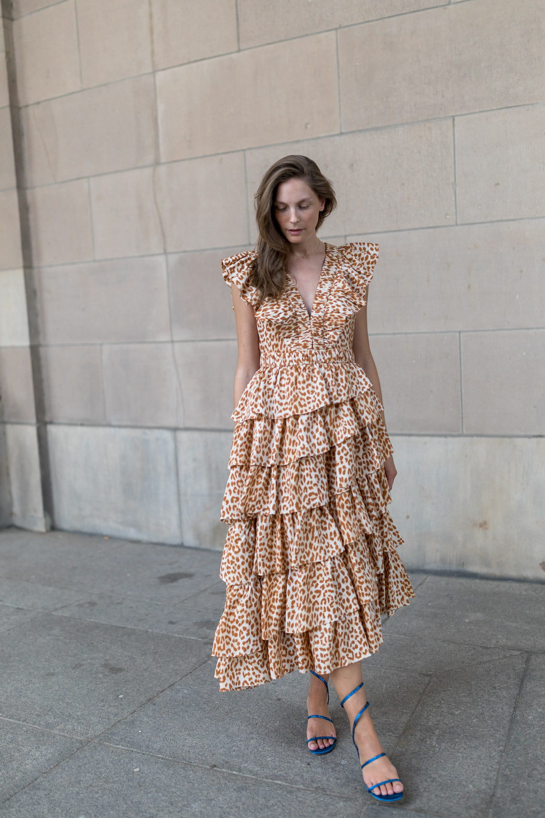 
                  
                    Viola Silk Dress Cheetah
                  
                